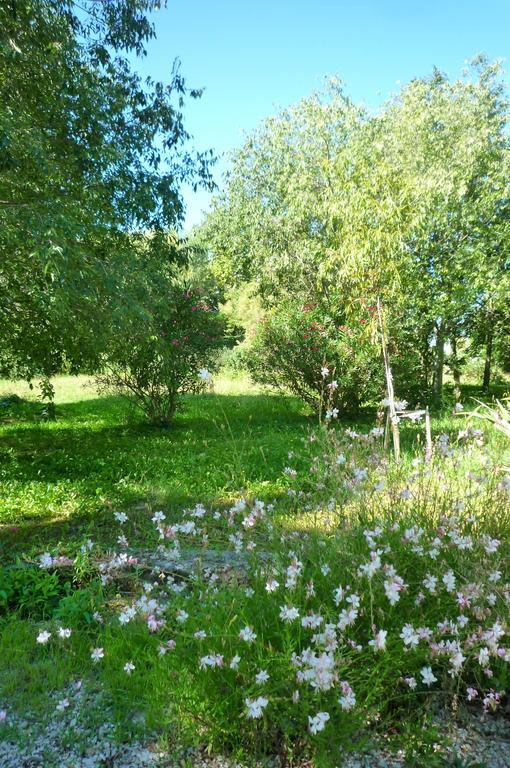 Le Mas De La Chouette Saint-Rémy-de-Provence エクステリア 写真