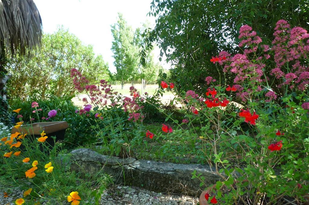 Le Mas De La Chouette Saint-Rémy-de-Provence エクステリア 写真