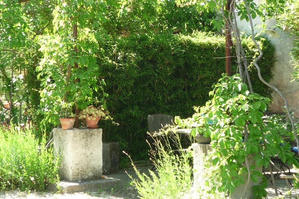 Le Mas De La Chouette Saint-Rémy-de-Provence エクステリア 写真