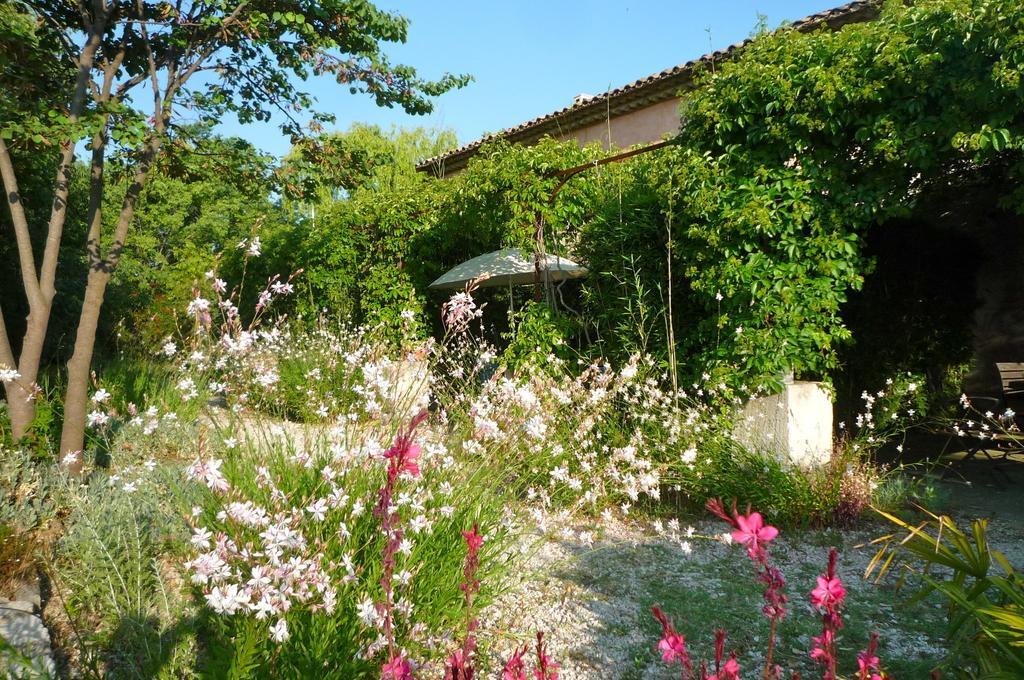 Le Mas De La Chouette Saint-Rémy-de-Provence エクステリア 写真