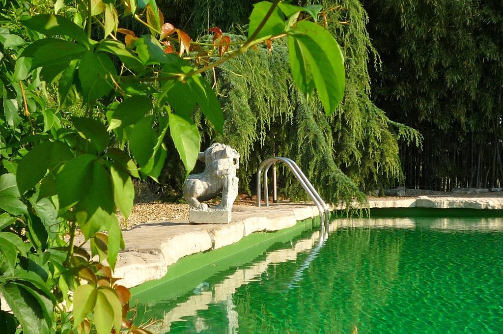 Le Mas De La Chouette Saint-Rémy-de-Provence エクステリア 写真